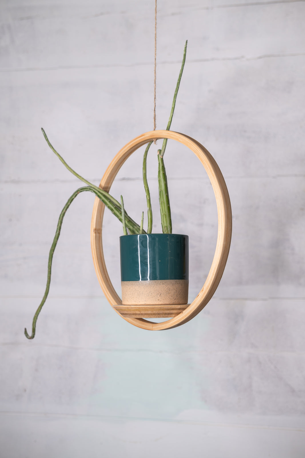 Small Circle Wooden Plant Hanger, Bubble Hanger, Planter With Saucer, Air Plant Hanger, Boho, Mid Century Modern Planter
