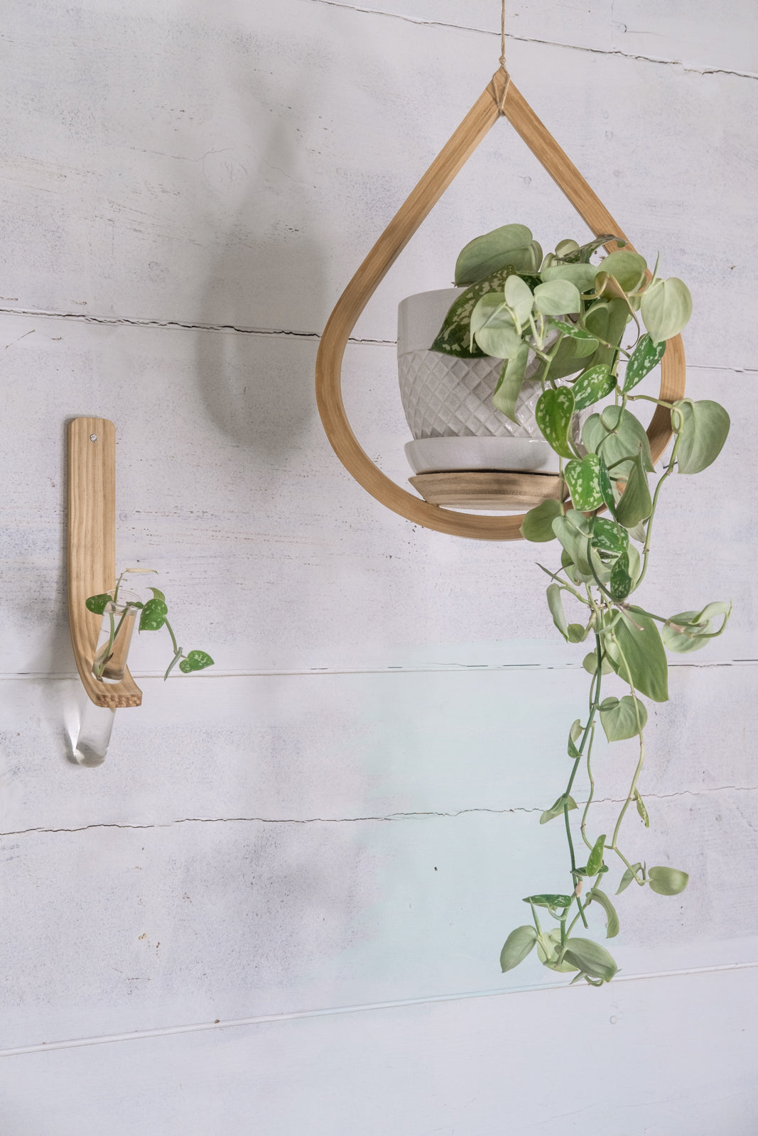 wall mounted single propagation station plus small hanging teardrop planter combo