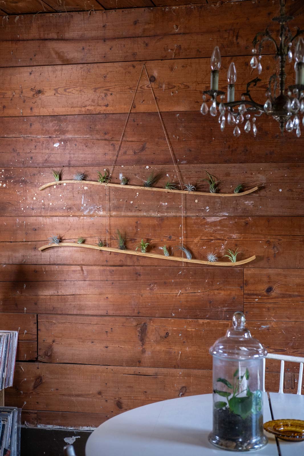 extra large plant hanger Extra Large Double Wave Air Plant Hanger, Air Plant Holder, Air Plant