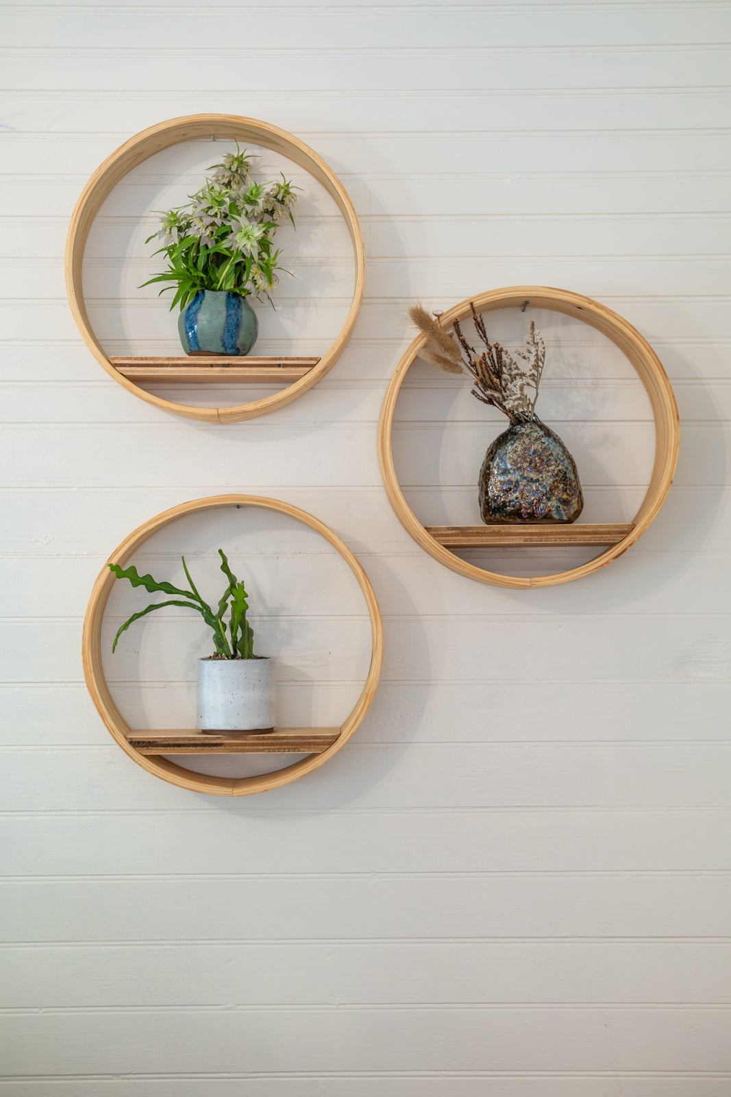 floating shelf with hanging plants Small Bubble Cubby Plant Shelf, Wall Hanging Plant Shelf