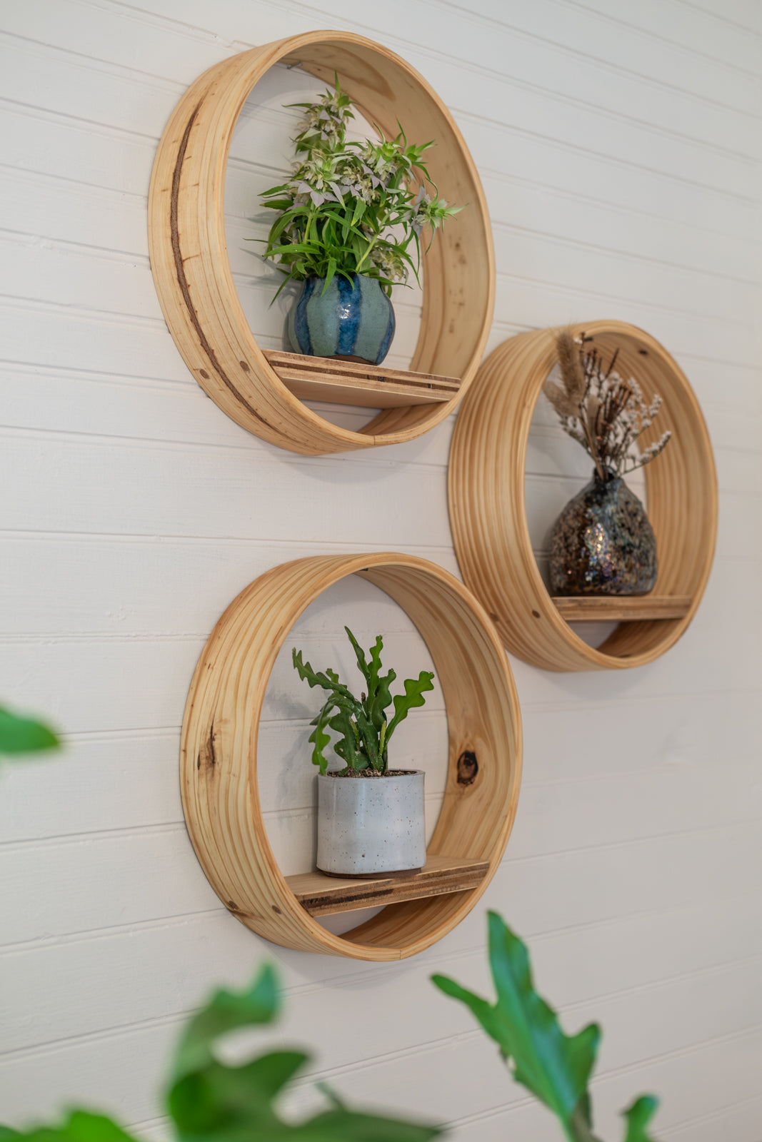 round hanging plant shelf Small Bubble Cubby Plant Shelf, Wall Hanging Plant Shelf