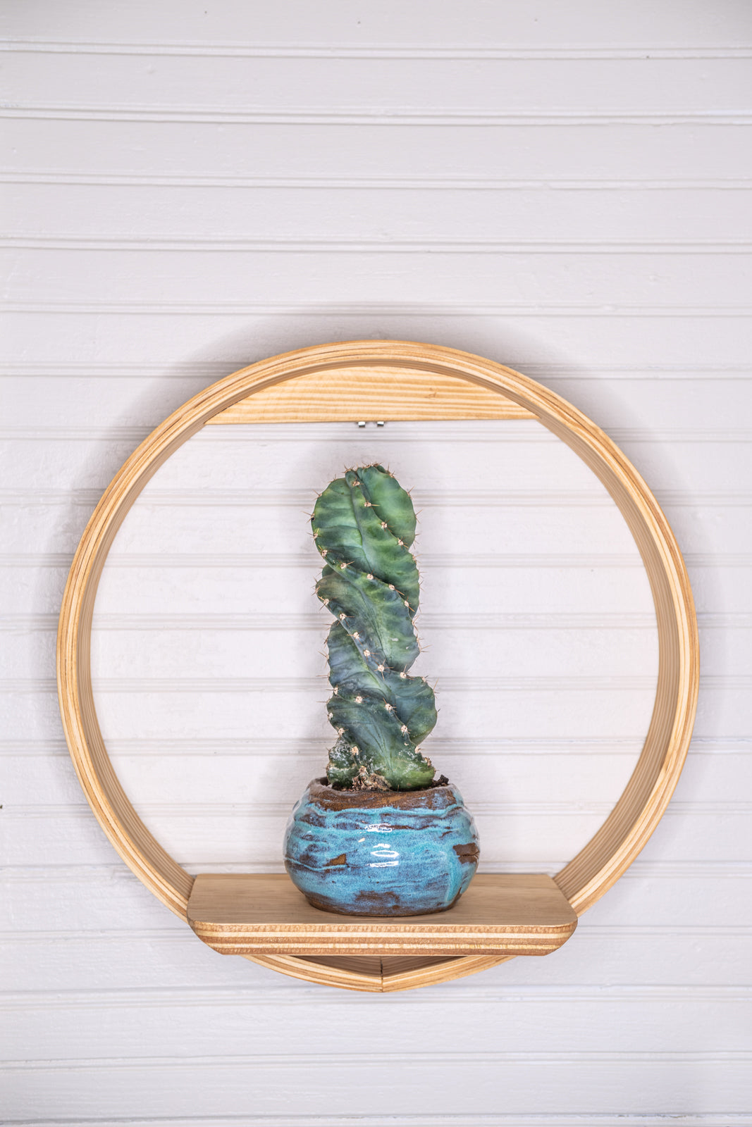 Medium Bubble Cubby Plant Shelf, Wall Hanging Plant Shelf