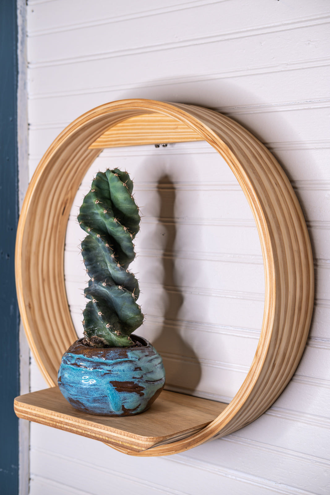 round hanging plant shelf Medium Bubble Cubby Plant Shelf, Wall Hanging Plant Shelf