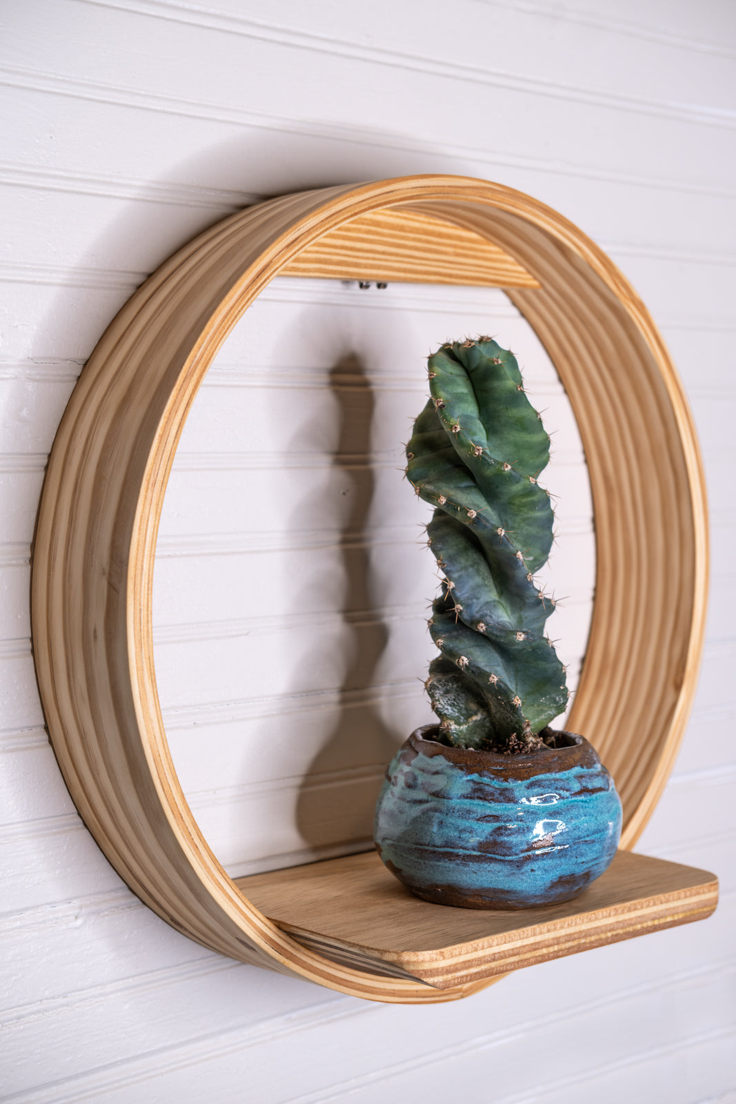 Medium Bubble Cubby Plant Shelf, Wall Hanging Plant Shelf