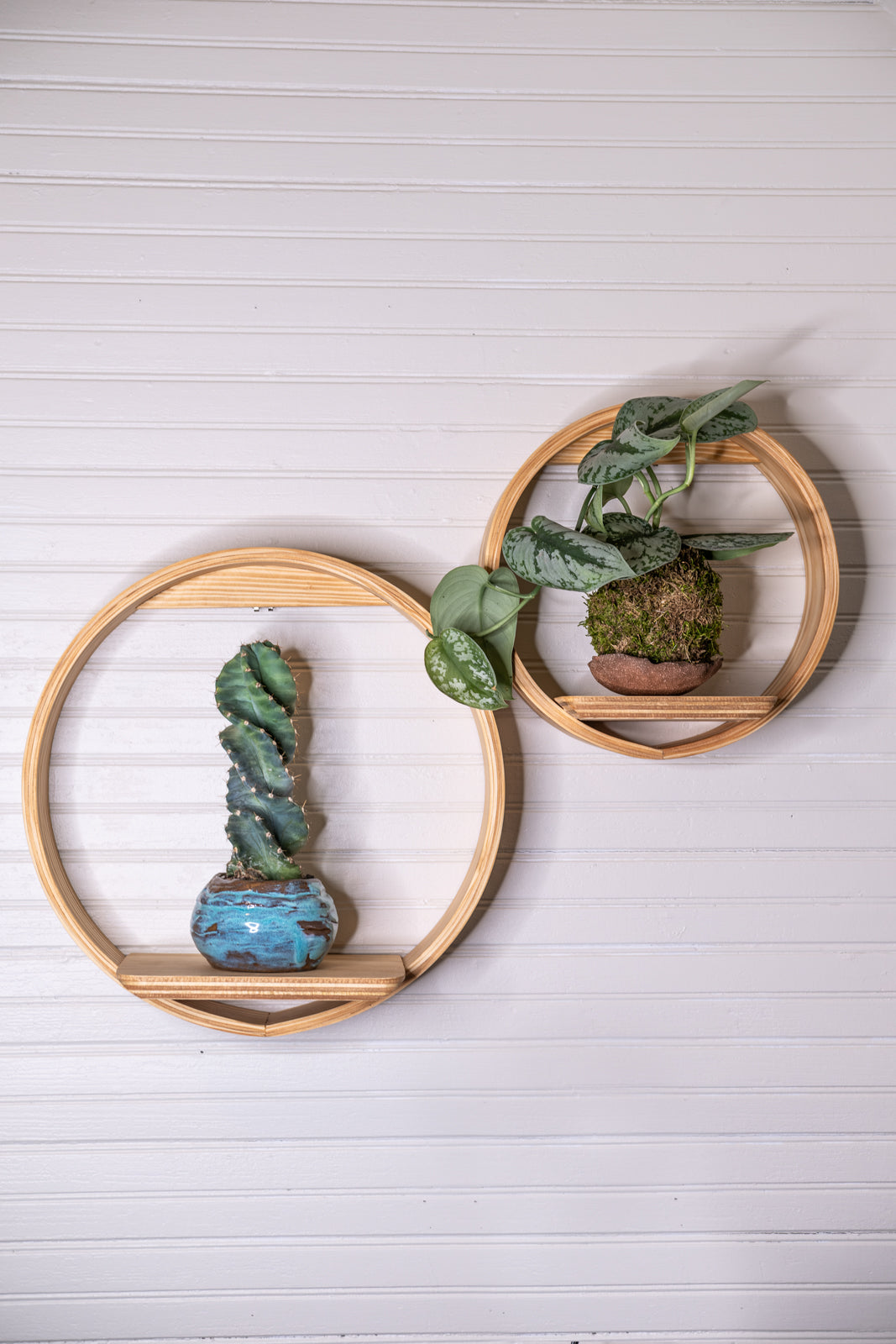 Medium Bubble Cubby Plant Shelf, Wall Hanging Plant Shelf