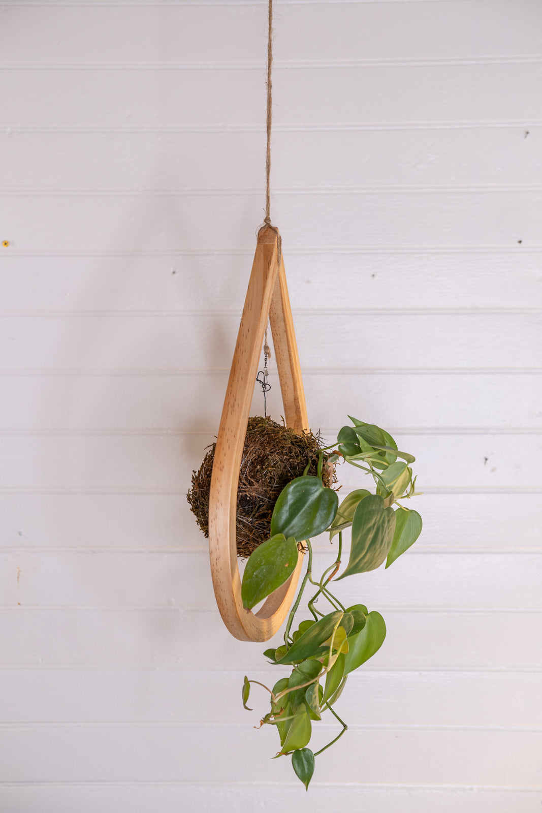 plant hangers for indoors Kokedama teardrop hanger