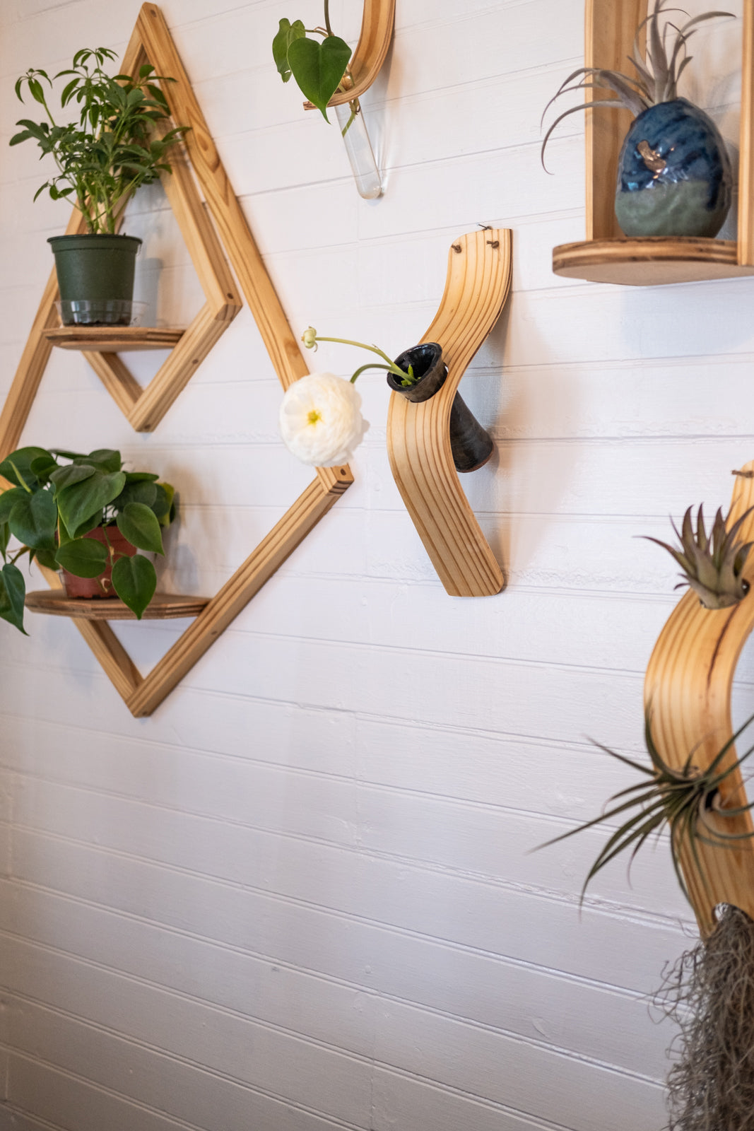 hanging air plant vases Waterfall Wave Wall Vase, Air Plant Display, Large Wave, Wall Vase, La