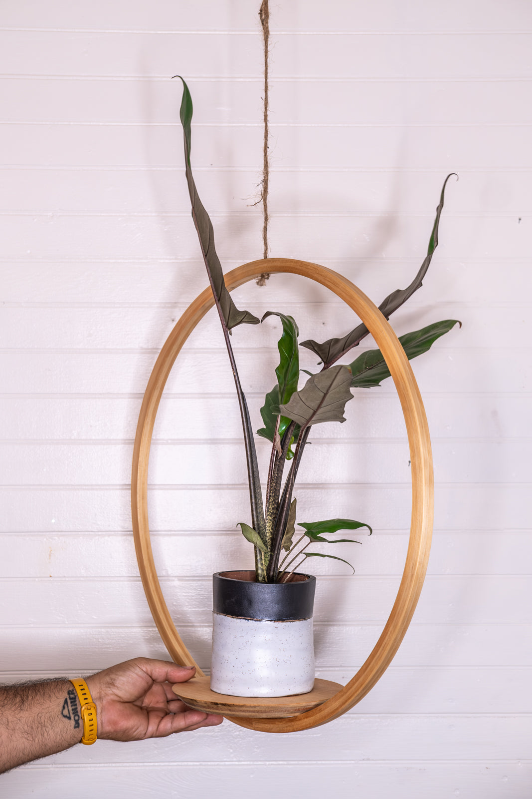 hanging hoop planter Large Bubble Hanging Planter, Bubble Plant Hanger, Planter With Saucer