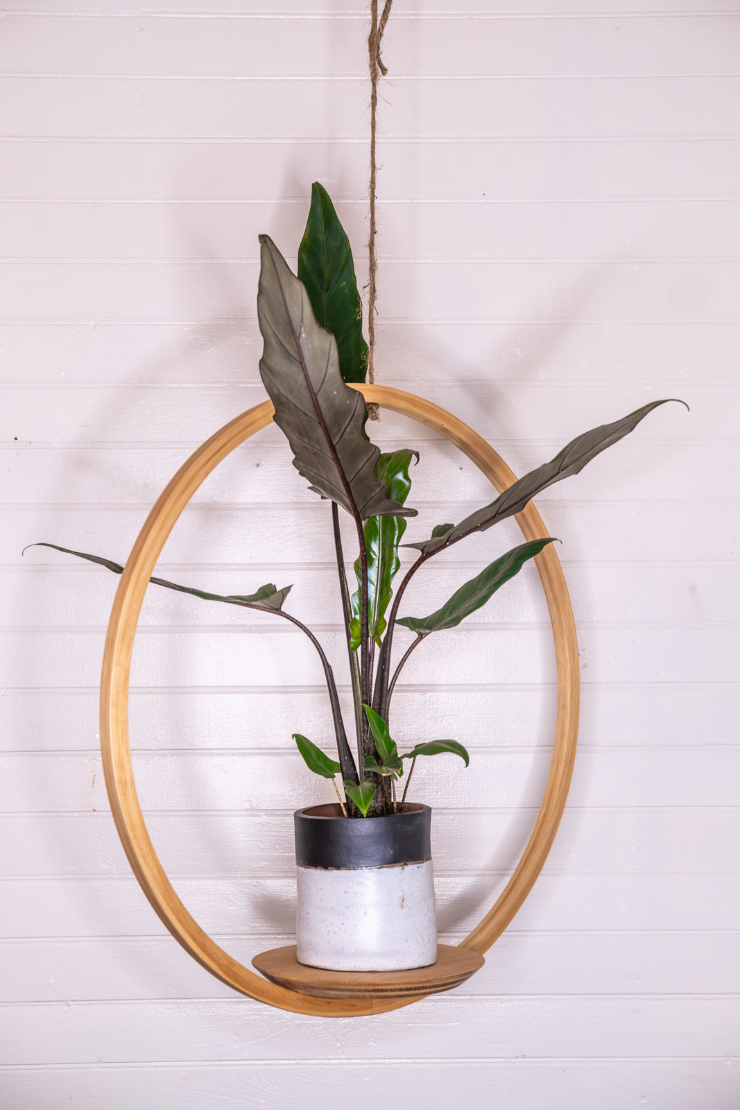 circular metal plant hanger Large Bubble Hanging Planter, Bubble Plant Hanger, Planter With Saucer