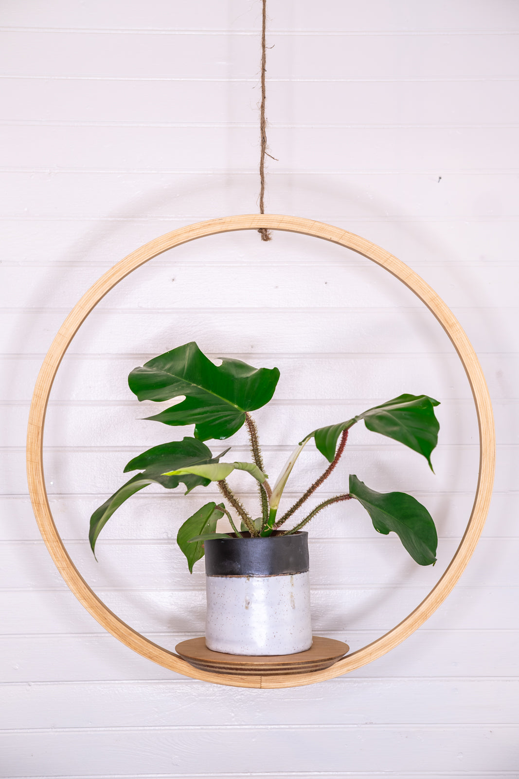 hanging bubble plant Large Bubble Hanging Planter, Bubble Plant Hanger, Planter With Saucer