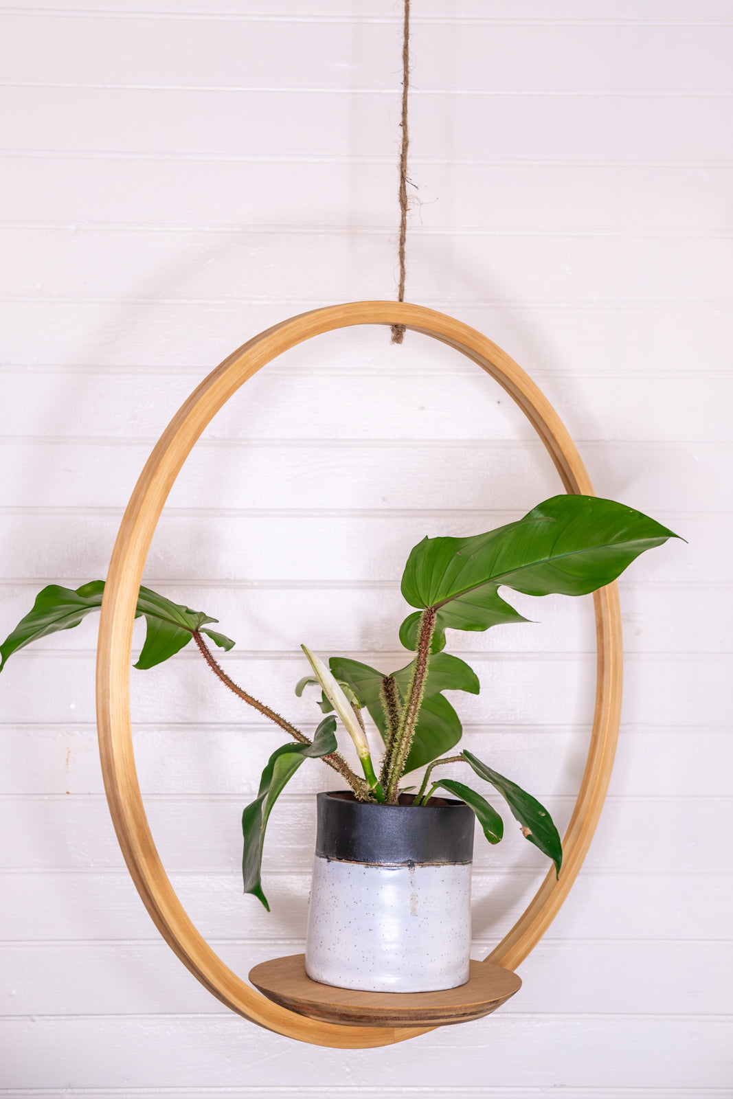 large plant hangers indoor Large Bubble Hanging Planter, Bubble Plant Hanger, Planter With Saucer