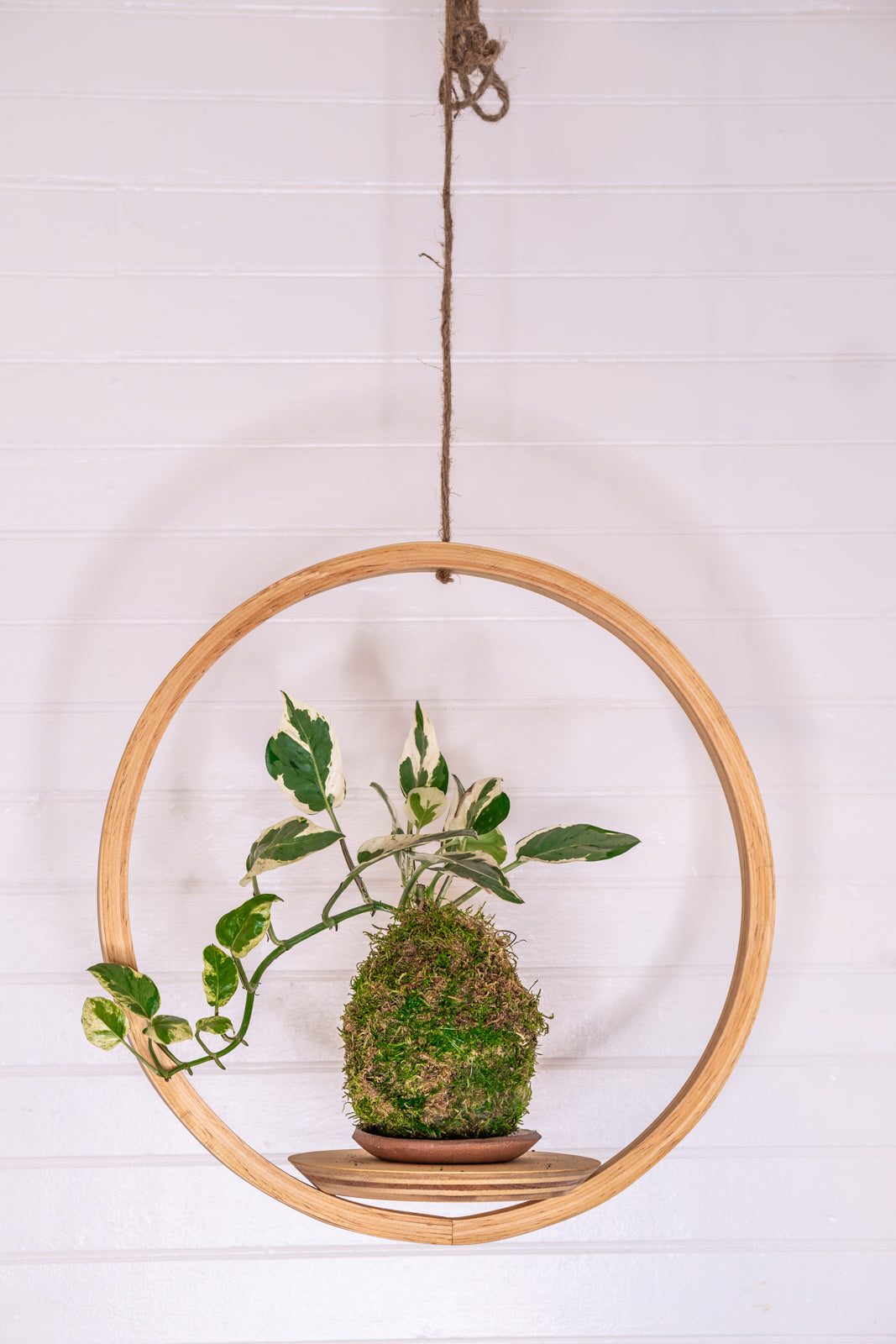 macrame plant hanger with saucer Bubble Hanger Bundle, Wooden Plant Hanger, Circle Hanger, Planter With
