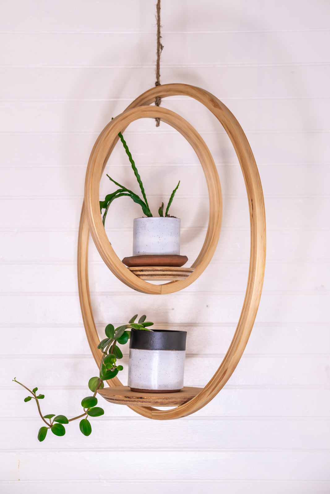 double plant hanger Large, Double Bubble Plant Hanger