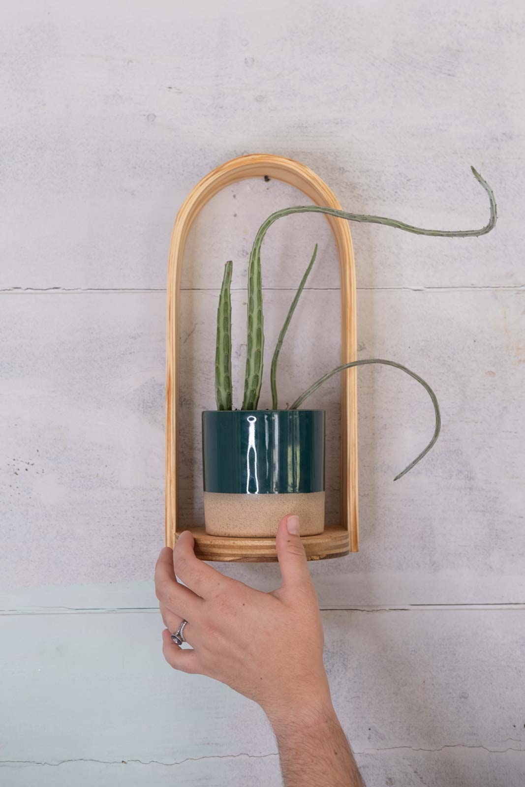 hanging wooden plant shelf Grotto Shelf | Plant Shelf | Wooden Wall Shelf | Wall Hanging | Curio