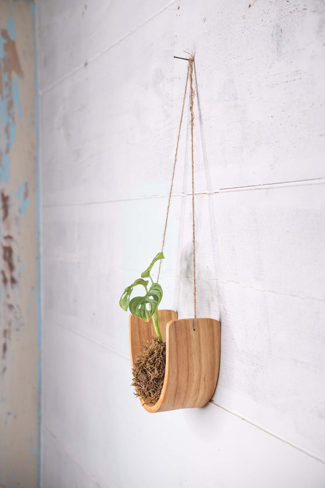 hanging plant wall mount Cradle Wave Ceramic Vase Plant Hanger, Hanging Planter, Plant Display,