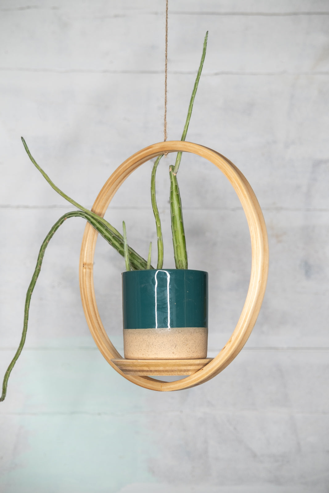 ring plant hanger Small Circle Wooden Plant Hanger, Bubble Hanger, Planter With Saucer,