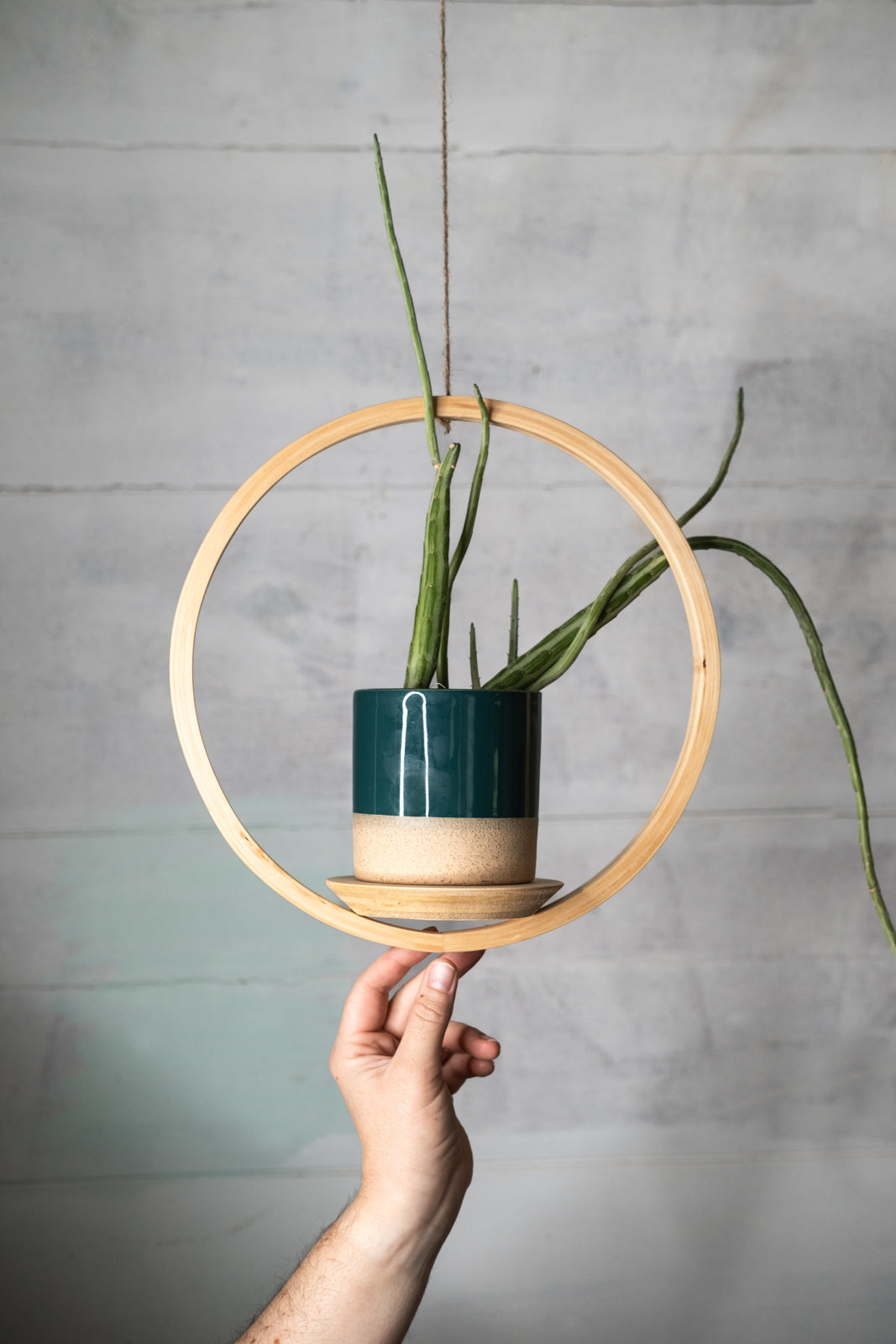 saucer for hanging plant Small Circle Wooden Plant Hanger, Bubble Hanger, Planter With Saucer,