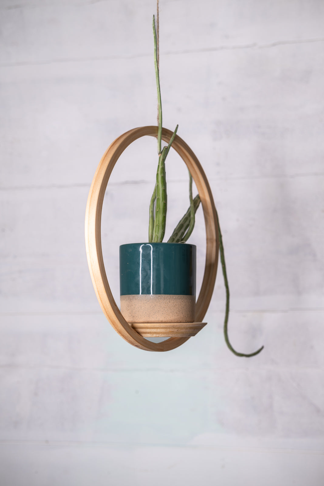 globe planter hanging Small Circle Wooden Plant Hanger, Bubble Hanger, Planter With Saucer,