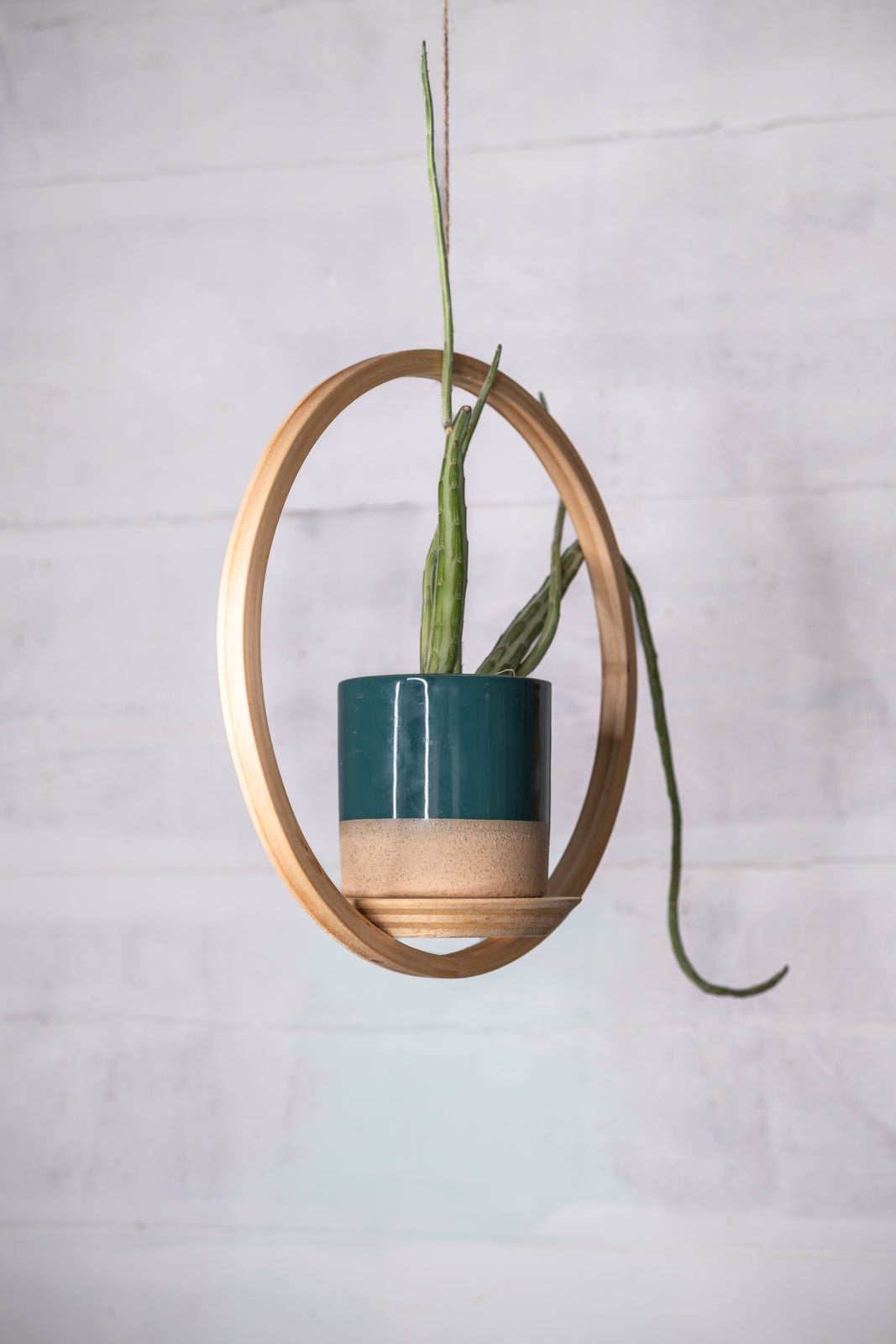 easy hanger planter Small Circle Wooden Plant Hanger, Bubble Hanger, Planter With Saucer,