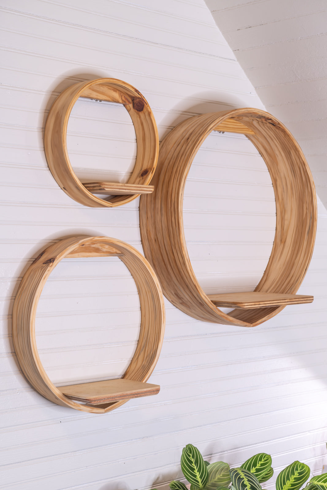 Large Bubble Cubby | Plant Shelf | Wooden Wall Shelf | Wall Hanging | Small Book Shelf | Wall Display Shelf | Modern Wall Shelf