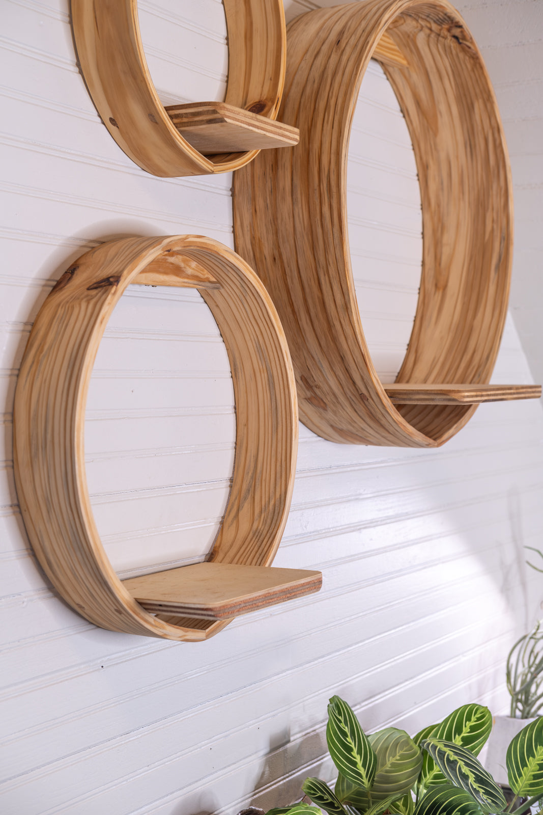 Large Bubble Cubby | Plant Shelf | Wooden Wall Shelf | Wall Hanging | Small Book Shelf | Wall Display Shelf | Modern Wall Shelf