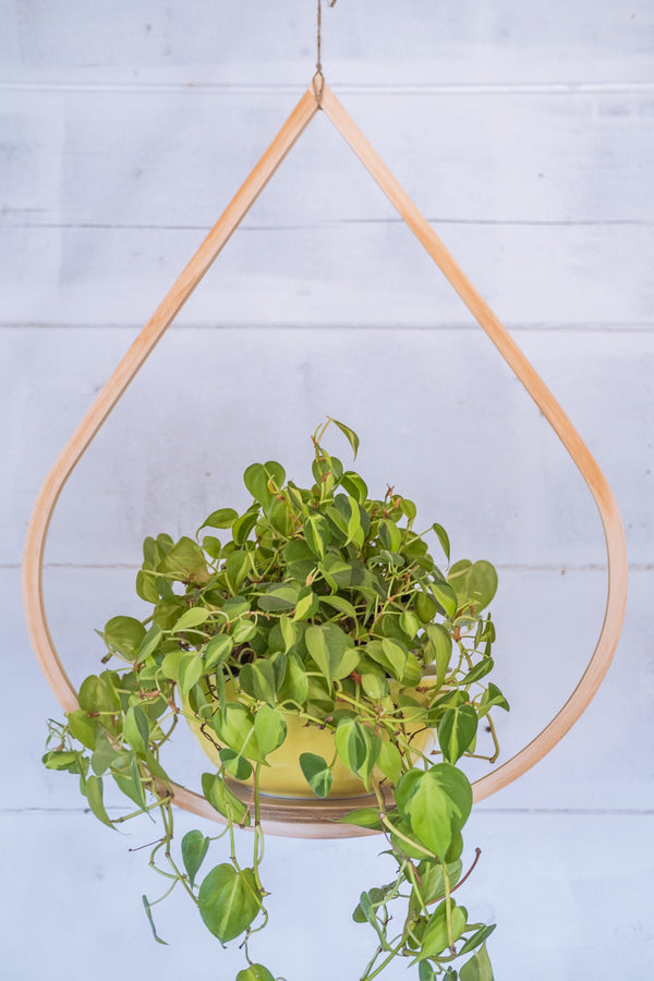 wooden teardrop hanging planter Large Tear Drop Hanging Planter, Tear Drop Plant Hanger, Planter With