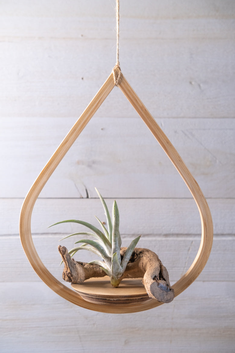 single hanging plant stand Single Tear Drop Hanging Planter