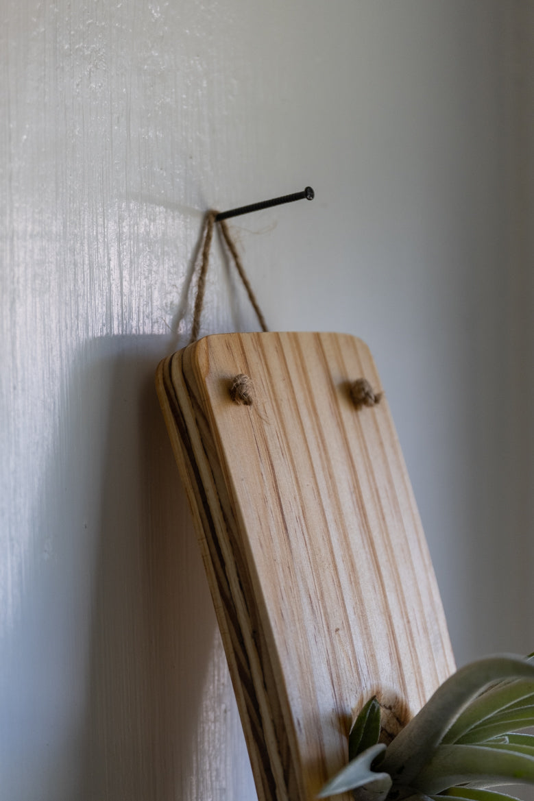 wall hooks for plant pots Large Vertical Wave Air Plant Hanger, Air plant holder, Hanging Plante