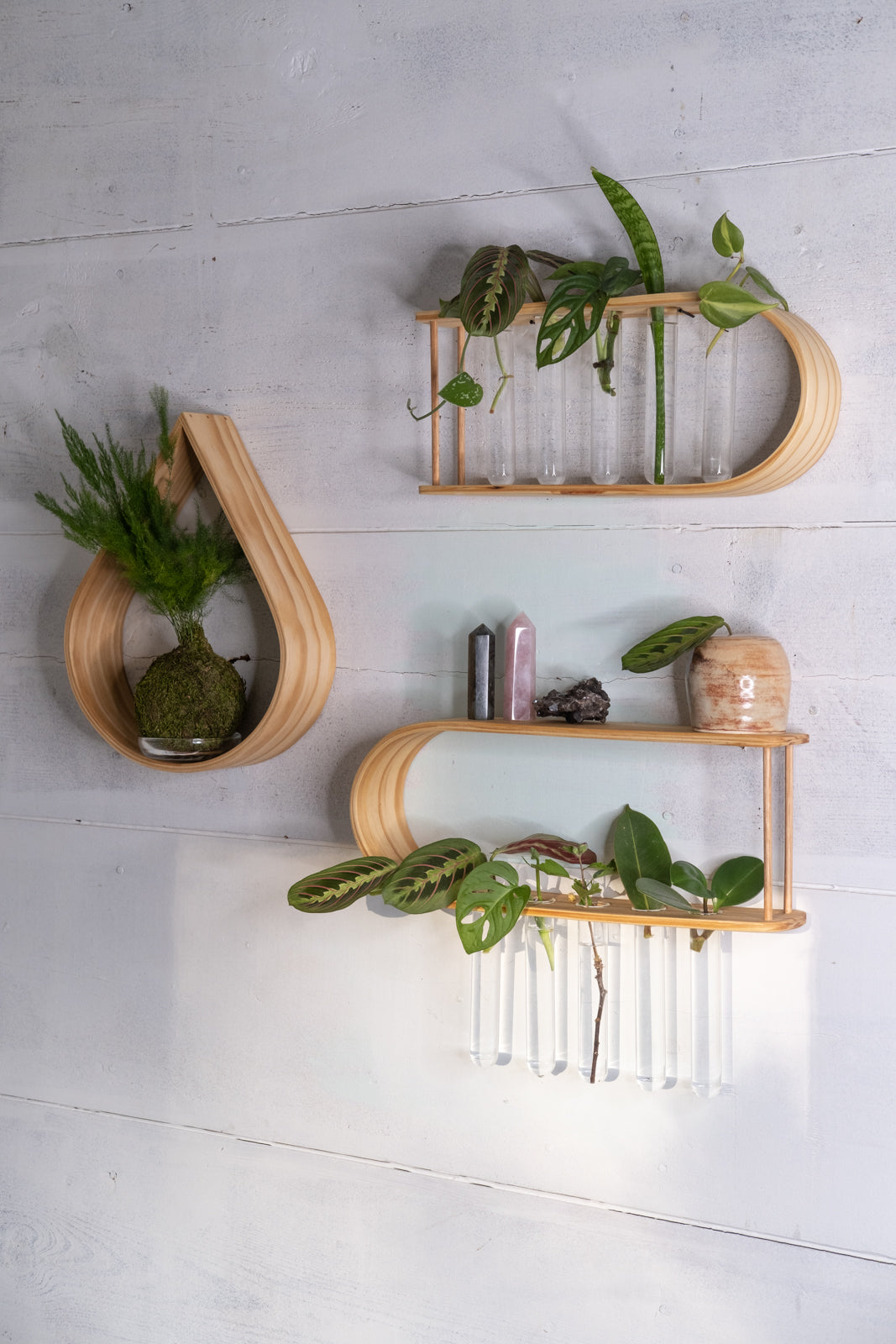indoor plant station Propagation Station