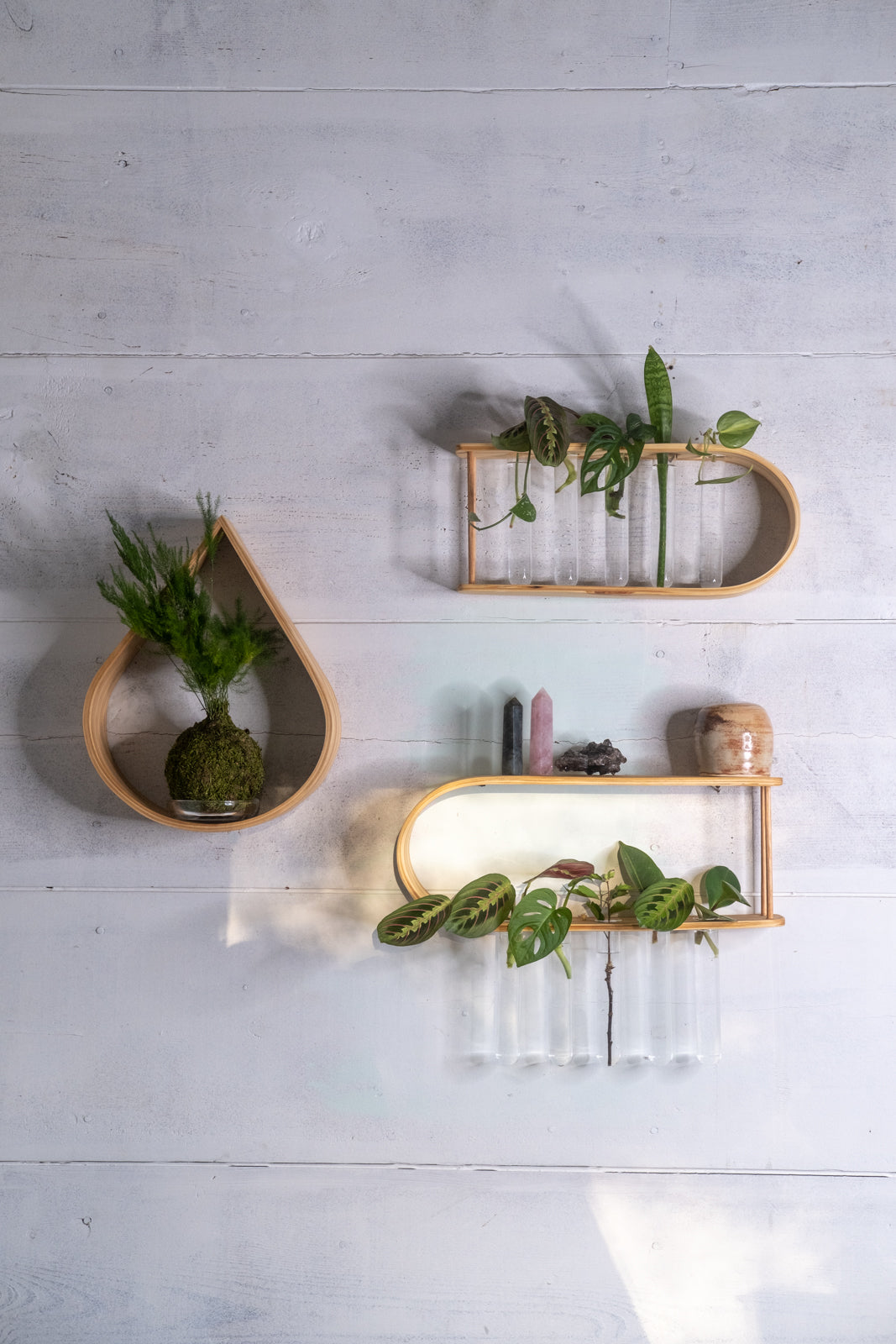 wall mounted indoor plants Small Teardrop Plant Shelf Cubby | Wall Shelf | Wall Hanging | Plant Hanger Indoor | Wall Display Shelf | Modern Wall Shelf