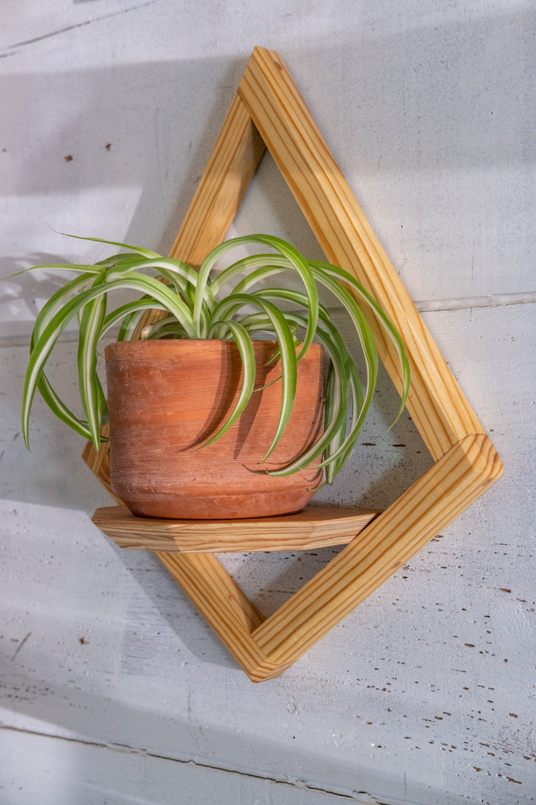 geometric hanging planter Wall Mount Diamond Planter