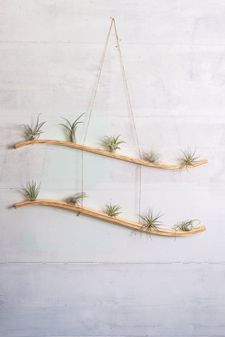 Large Double Wave Air Plant Hanger, Air Plant Holder, Air Plant Display, Boho Wall Hanging, Hanging Planter Indoor, Geometric Plant Hanger