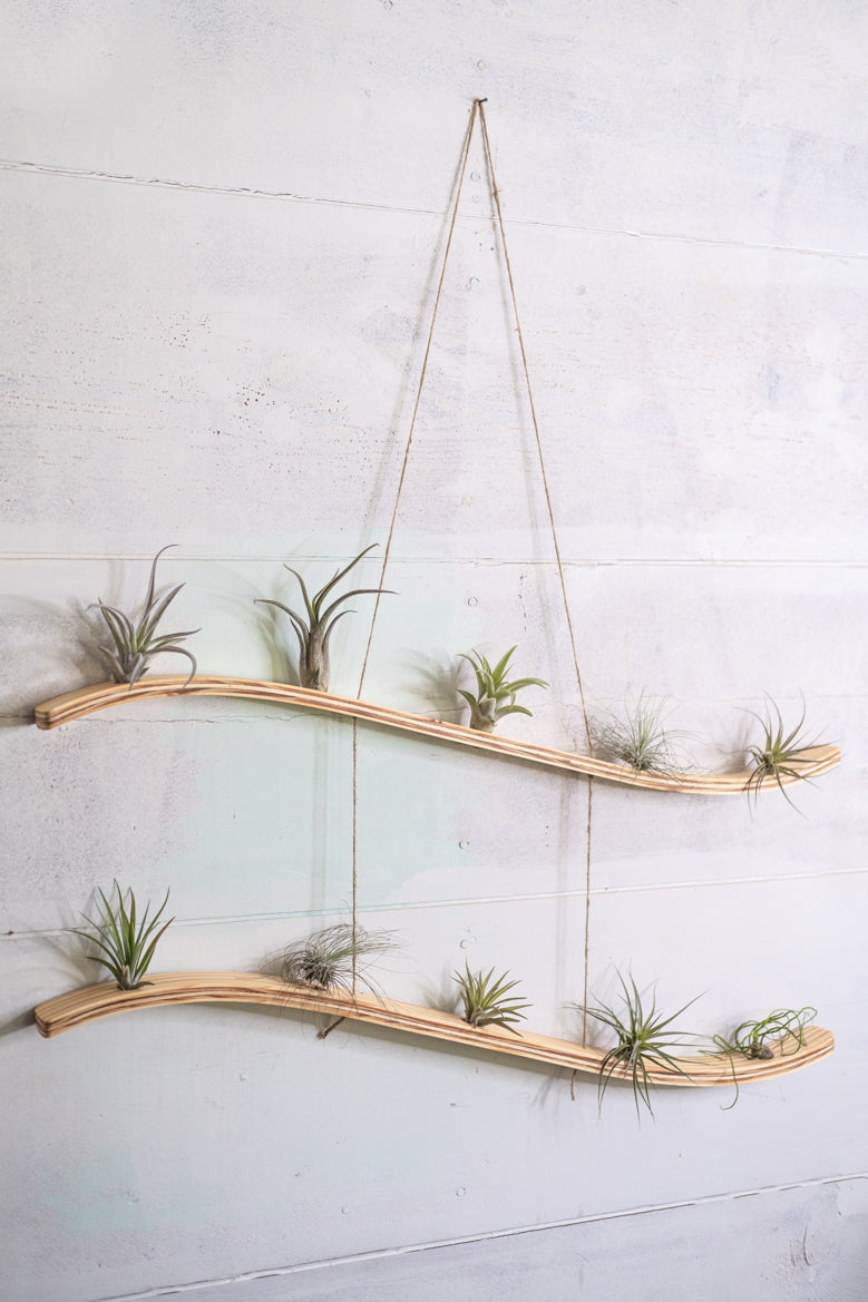 large indoor plant hangers Large Wave Air Plant Hanger, Wave Air Plant Holder, Air Plant Display,