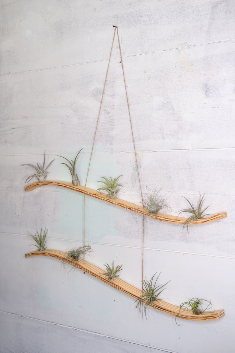 stick plant hanger Large Wave Air Plant Hanger, Wave Air Plant Holder, Air Plant Display,