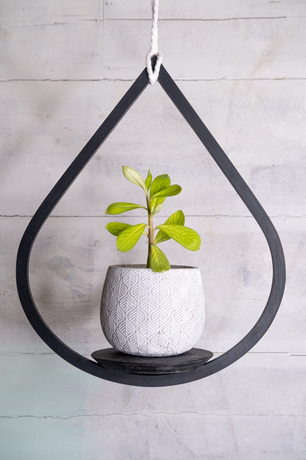 flat plant hanger Medium Matte Black Plant Hanger, Tear Drop Hanger, Planter With Saucer