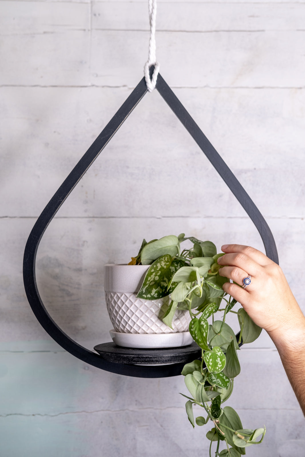 modern plant hanger indoor Medium Matte Black Plant Hanger, Tear Drop Hanger, Planter With Saucer