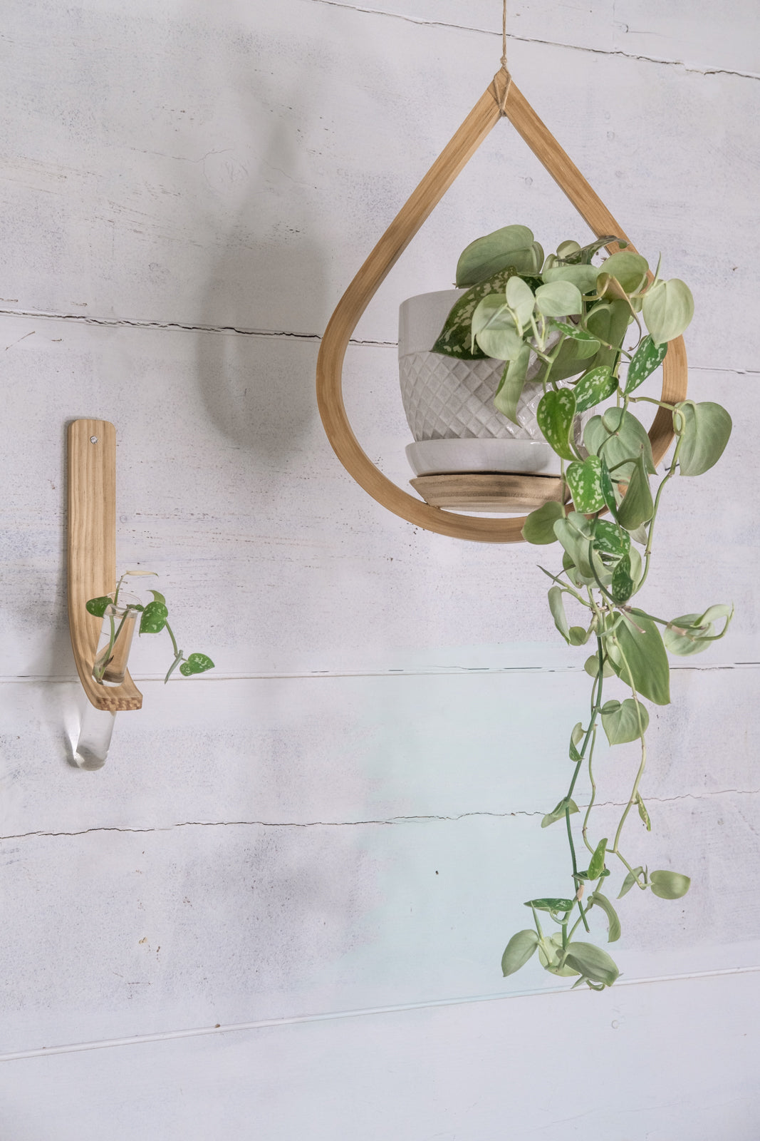 wall hanging plant propagation Propagation Planter Small Combo
