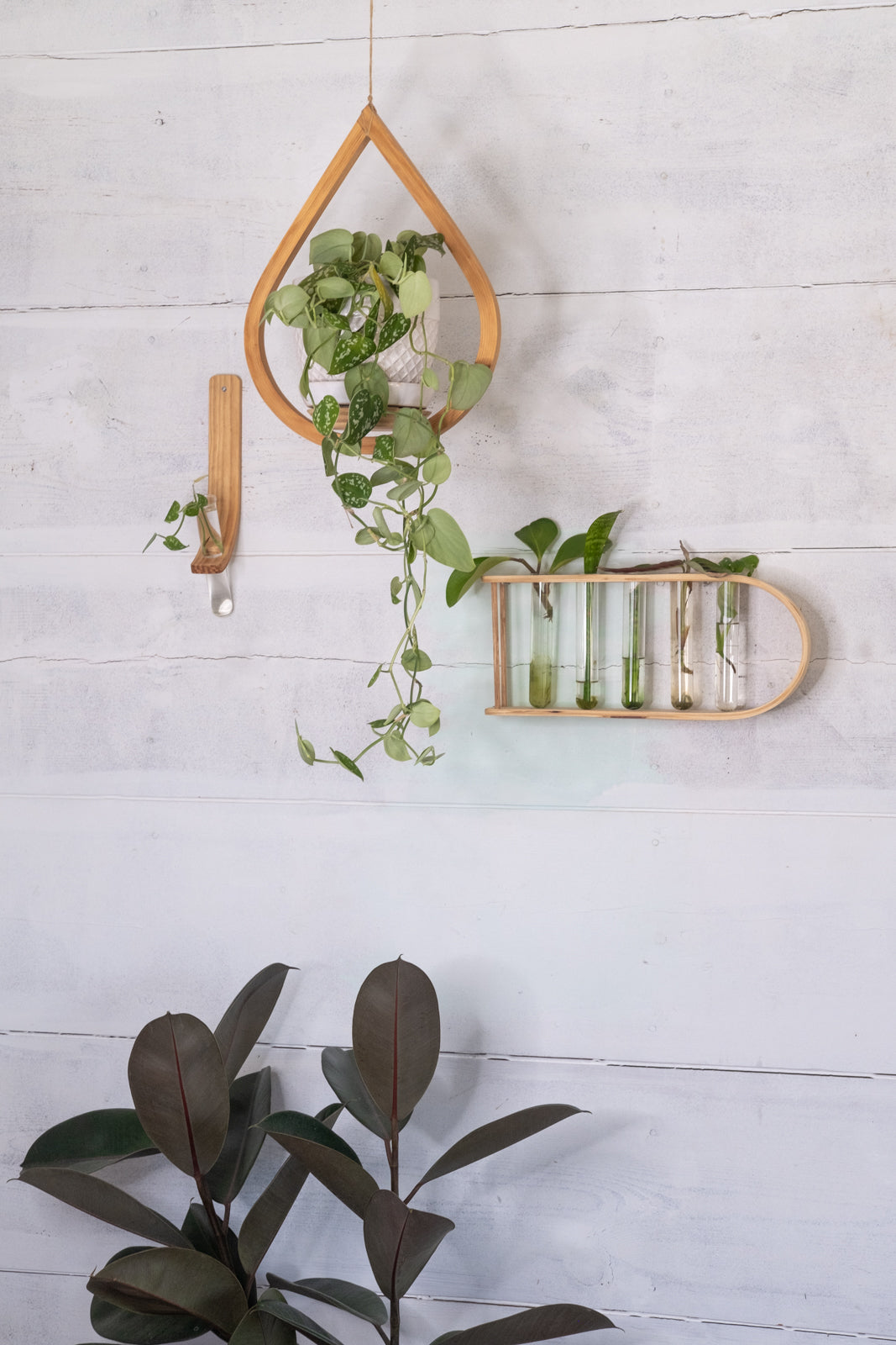 wall hanging plant propagation Propagation Planter Small Combo