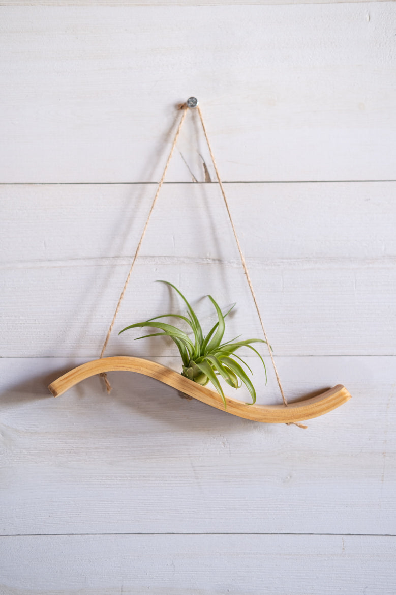 mini plant hanger Mini Wave Air Plant Hanger, Air Plant Display, Mini Wave, Air Plant Ha