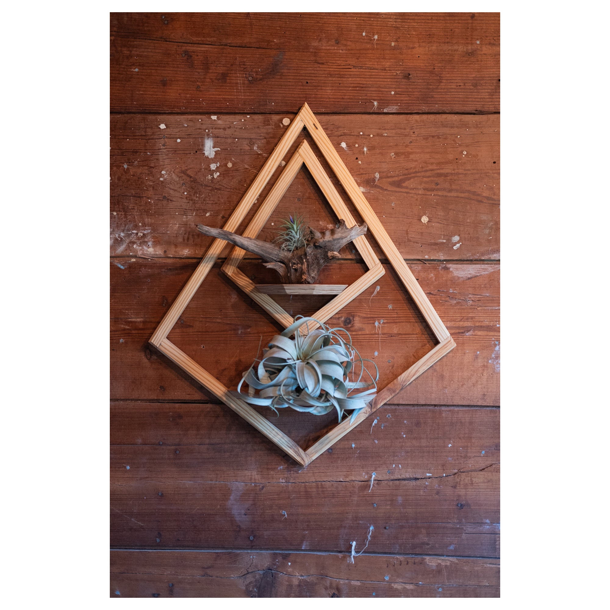 diamond hanging planter Wall Mount Double Diamond Planter with Saucers