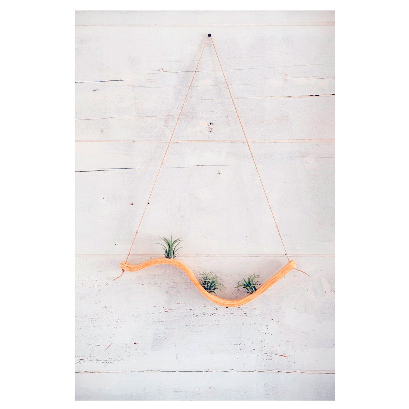 Small Wave Air Plant Hanger
