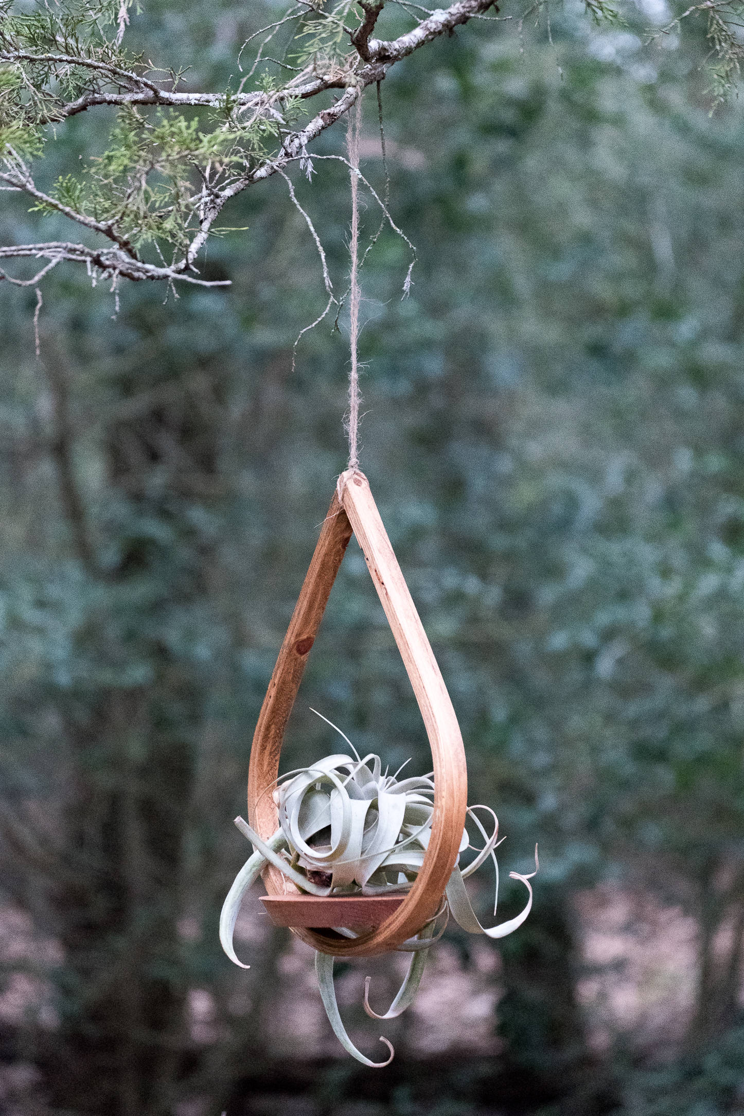 wooden teardrop plant hanger Single Tear Drop Hanging Planter