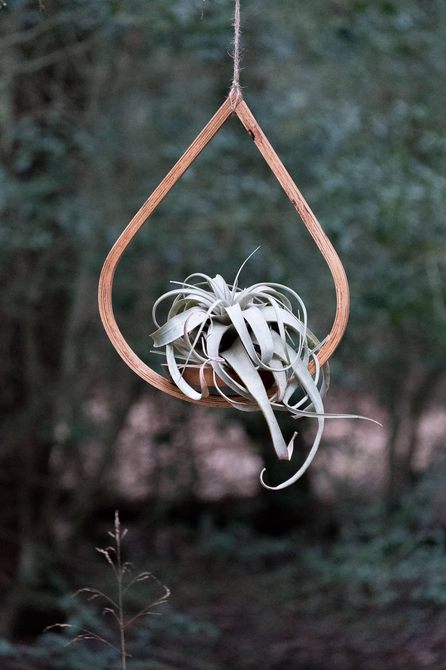 natural hanging planter Single Tear Drop Hanging Planter