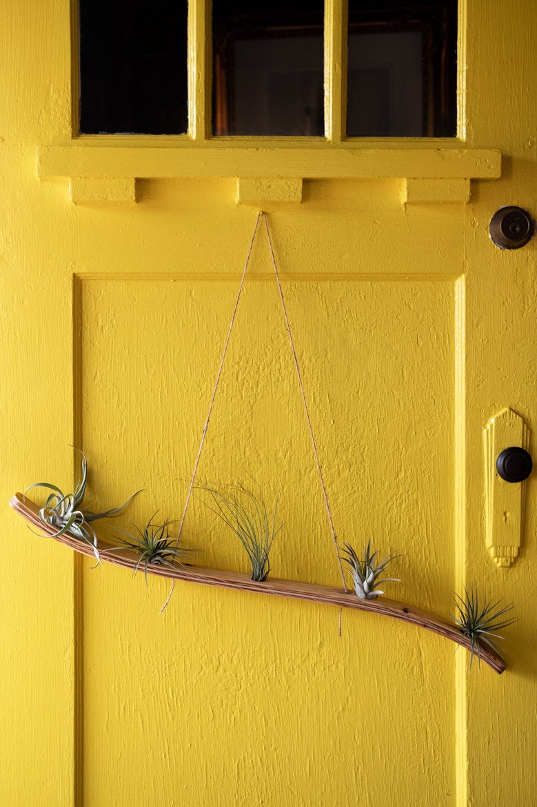over door plant hanger Air plant holder , Large Wall Wave Air Plant Hanger