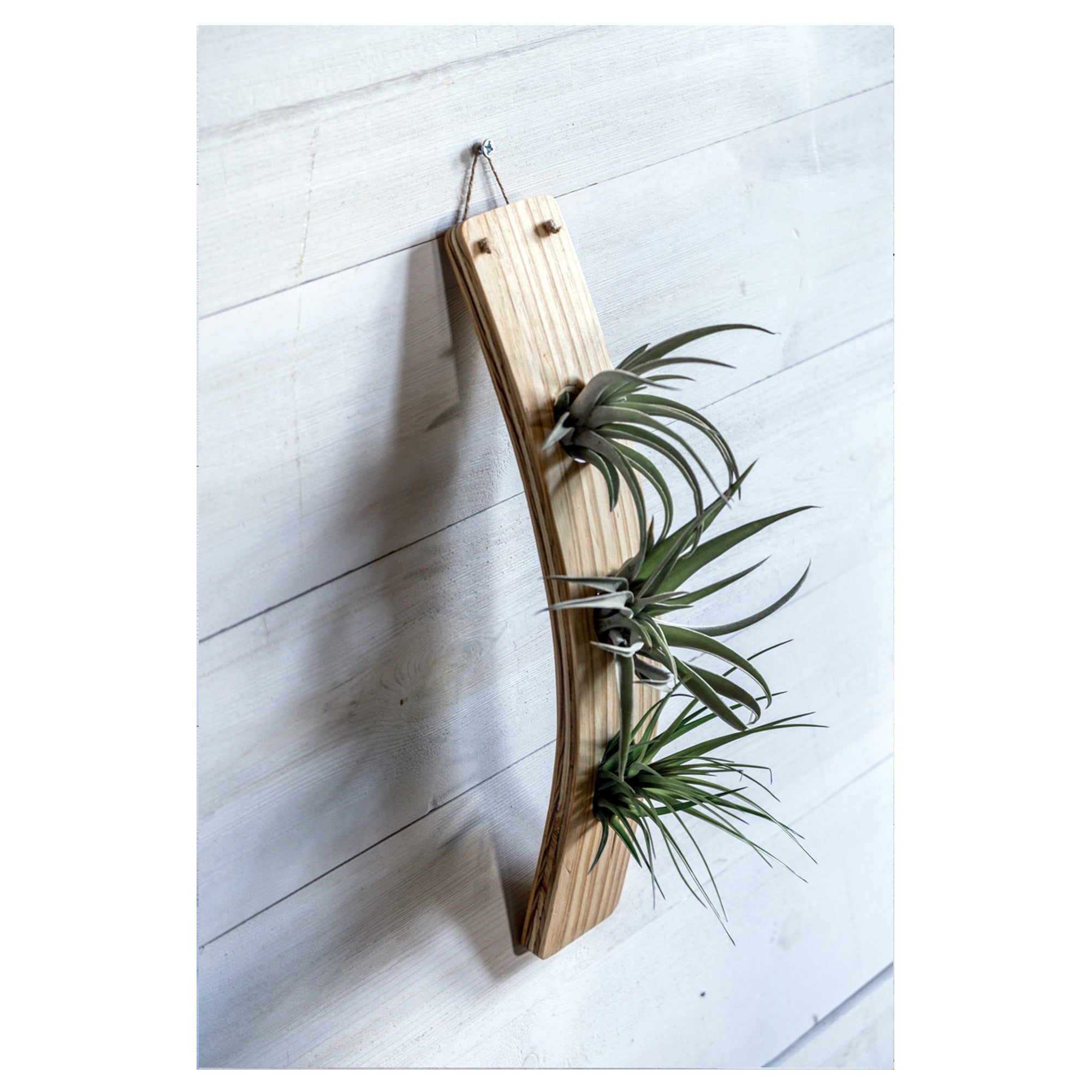 upright hanging planter Large Vertical Wave Air Plant Hanger, Air plant holder, Hanging Plante