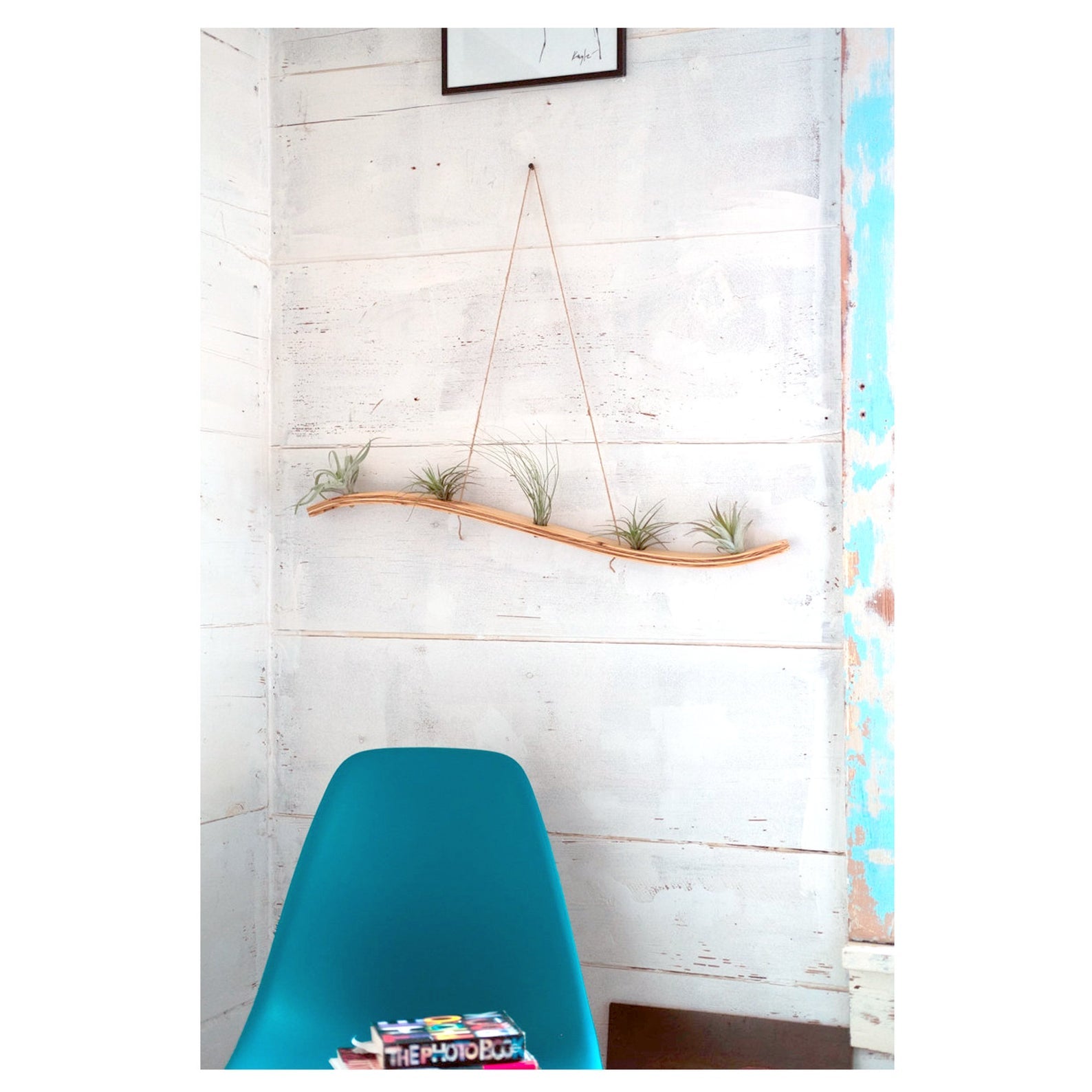 ac moore hanging plants Air plant holder , Large Wall Wave Air Plant Hanger