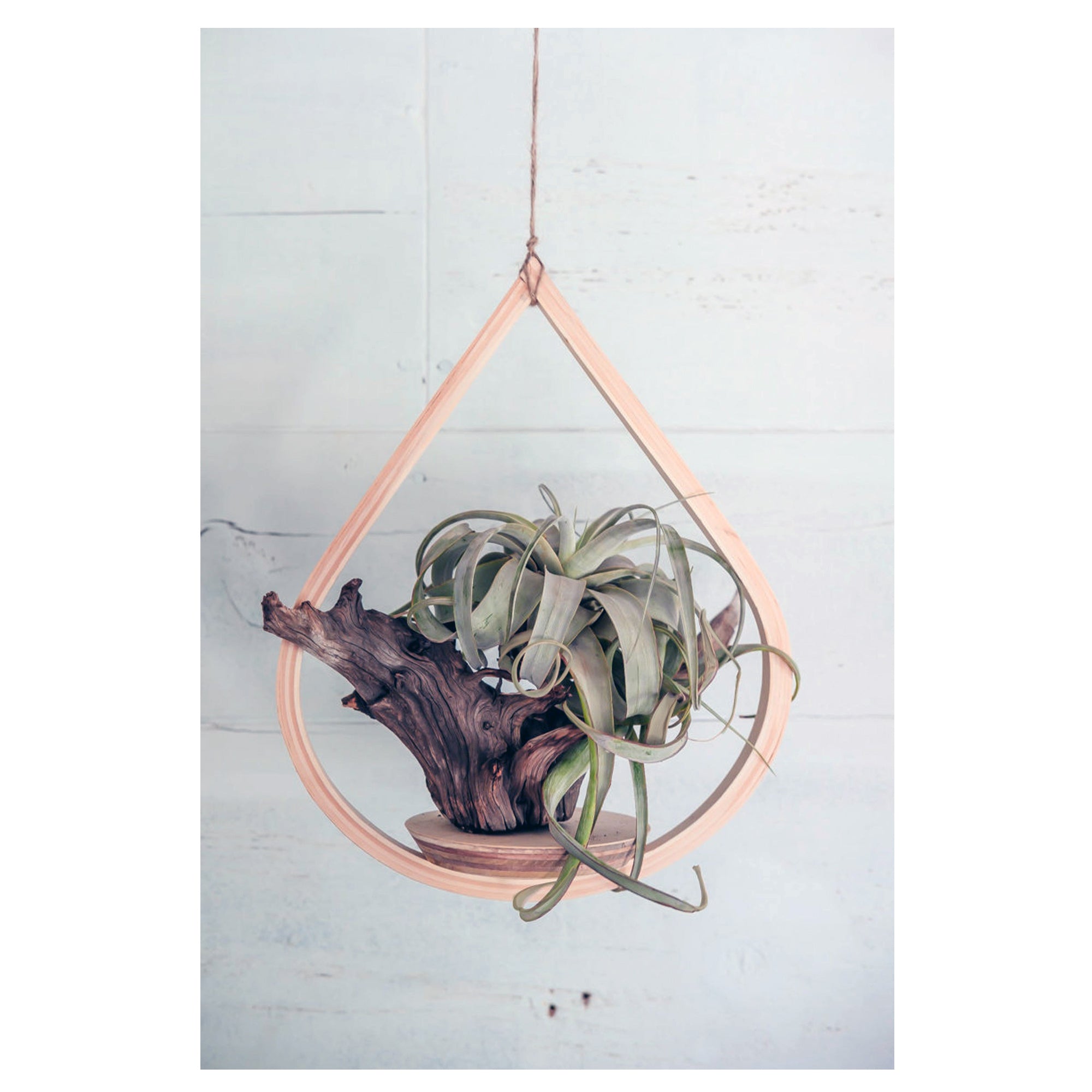 single hanging plant stand Single Tear Drop Hanging Planter